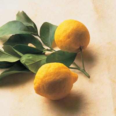 Delia's Lemons配料的图片