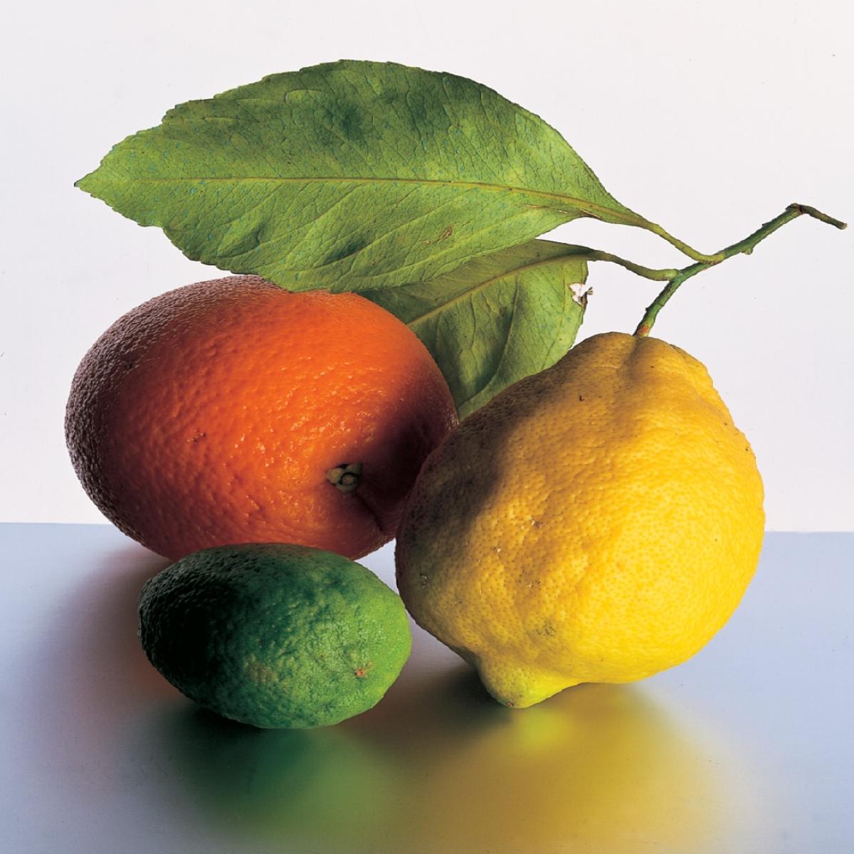 柠檬、酸橙和橙子的图片