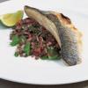 Delia's海鲈鱼与Puy扁豆萨尔萨食谱的图片