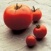 A picture of Delia's Tomato, Apple and Celery Cream Soup recipe
