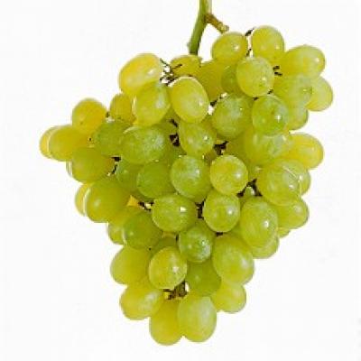 Delia's Grapes原料的图片