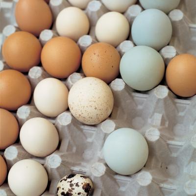 Delia's Eggs原料的图片