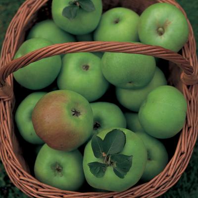 Delia's Apples配料的图片