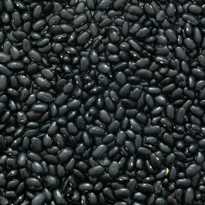 Delia's黑豆原料的图片