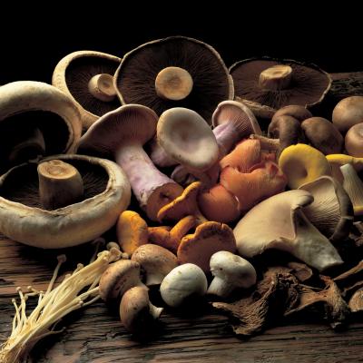 Delia's蘑菇成分的图片
