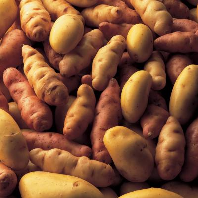 Delia's土豆汤培根食谱的图片