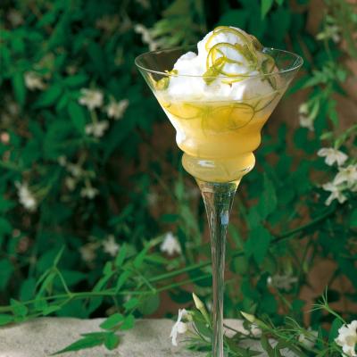 A picture of Delia's Coconut Ice Cream With Lime Syrup recipe