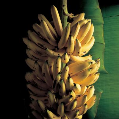 一幅画of Delia's Caribbean Bananas Baked in Rum served with Rum Syllabub recipe